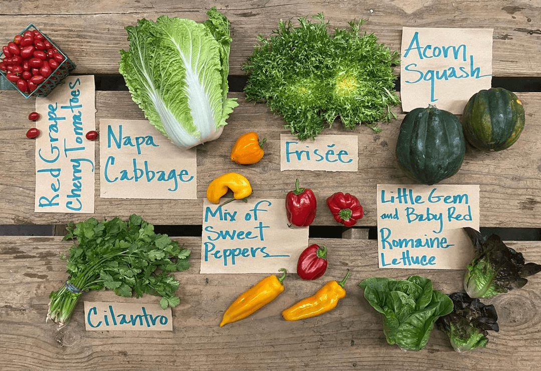 Riverdog Farm CSA Weekly Farm Boxes